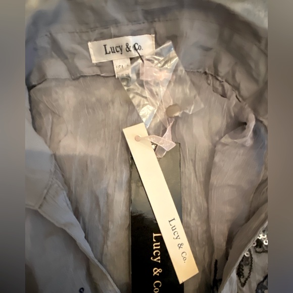 Lucy & Co. Gray sheer button up sequin embellished v-neck blouse size S. NWT - Picture 2 of 11